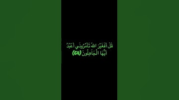 ماتيسر من سورة الزُمر. تلاوه/ القاريء: محمد المنشاوي رحمه الله ووالدينا وكل مسلم ومسلمه.