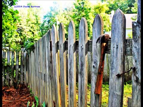 Lucinda Williams - "Wild and Blue"