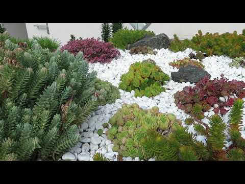 Videó: Ötletek városi ablakdobozos kertekhez – Hogyan készítsünk ablakdobozokat télre