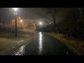 밤에 안개가 자욱한 공원 폭우와 함께 10분내로 즉시 잠, 불면증 안녕, rain sound ASMR