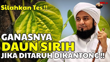 Rahasia Ampuh !!! Daun Sirih di Kantong Membawa Rezeki