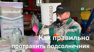 Протравка семян подсолнечника инсектицидным протравителем Orfeu, WDG