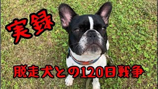 動画 ケージ脱走癖のある絶妙に賢いフレブルvs絶対に阻止したい飼い主の戦い その実録 フレンチブルドッグライフ 動画 ケージ脱走癖のある絶妙に賢いフレブルvs絶対に阻止したい飼い主の戦い その実録 フレンチブルドッグライフ