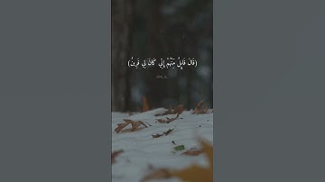 محمد اللحيدان سورة الصافات 🤍