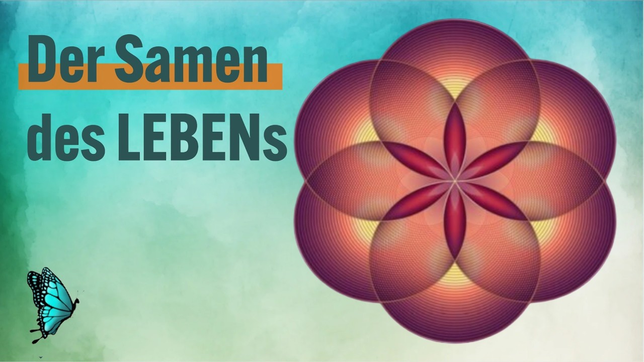 Leonardo da Vinci 🪐 Heilige Geometrie, universelle Ordnung, Metatron Würfel, Blume d. Lebens, Spirit