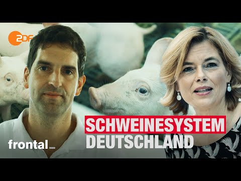 Video: Schweinehaltung Als Gewerbe