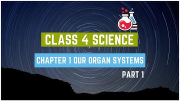 CLASS IV SCIENCE - CHAPTER 1 OUR ORGAN SYSTEMS PART 1