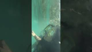 Caro.tobon151531530472182293222707834013623028211394