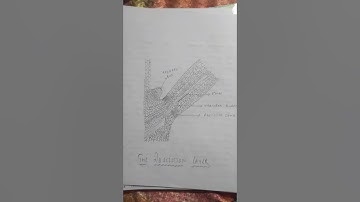 Lse-6 solved assignment 2020