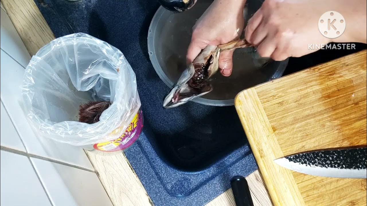 cleaning Mackerel fish YouTube