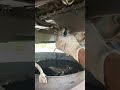 Changing Tata seirra engine oil    #tatamotors #liquimoly #castrolindia