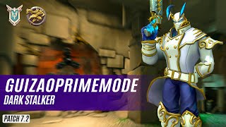 guizaoPRIMEMODE ANDROXUS PALADINS COMPETITIVE (MASTER) DARK STALKER