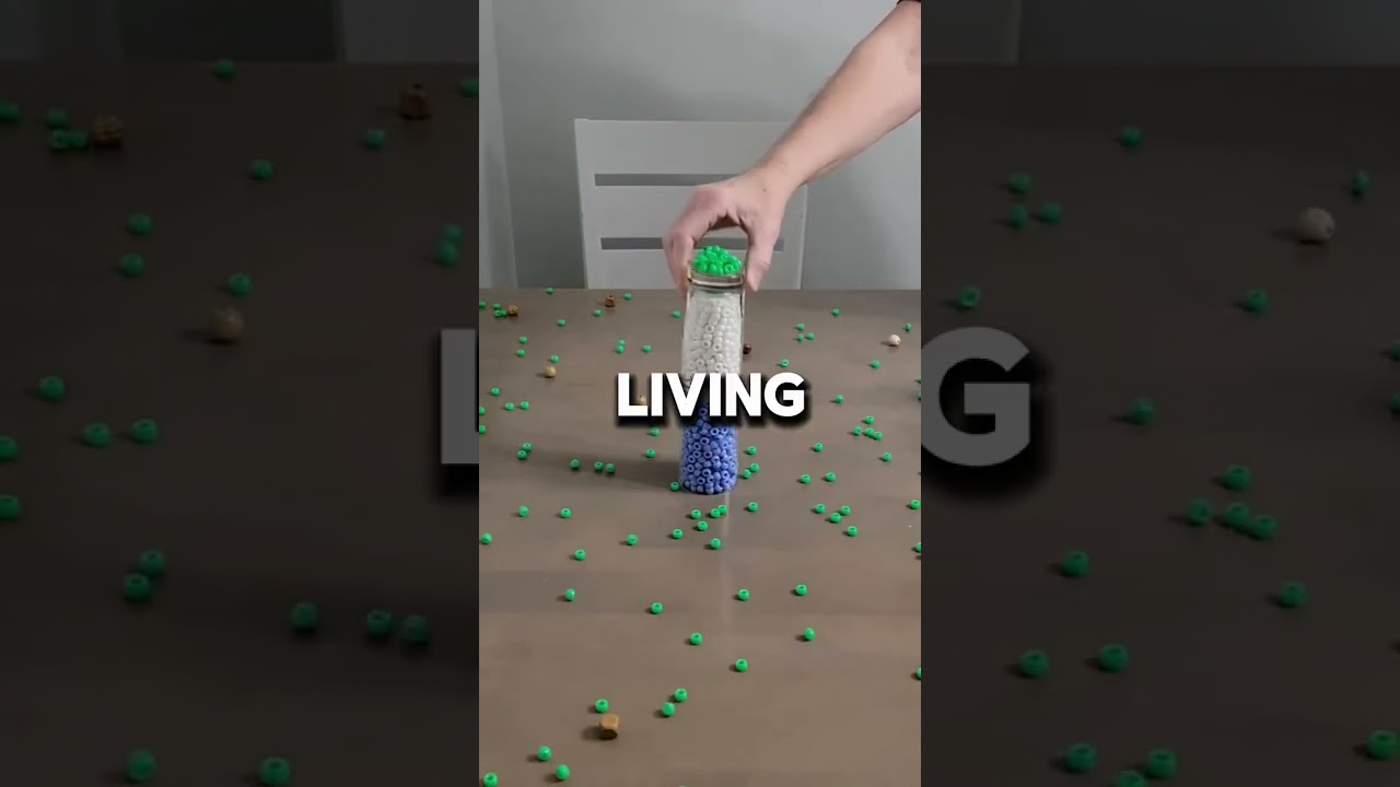 Interesting Random Facts Surprising