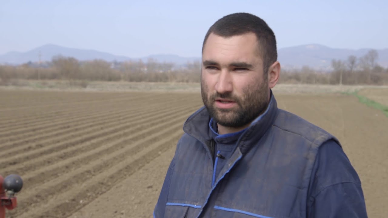 Setva krompira u cacanskoj opstini - U nasem ataru 783