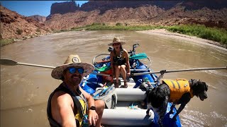 Rafting the Moab Daily at 20,000CFS with our Dog and Camping on the River