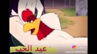 عيد الحب  مع توم وجيري مضحك جدا