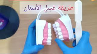 طريقة غسل الأسنان La technique de brossage des dents