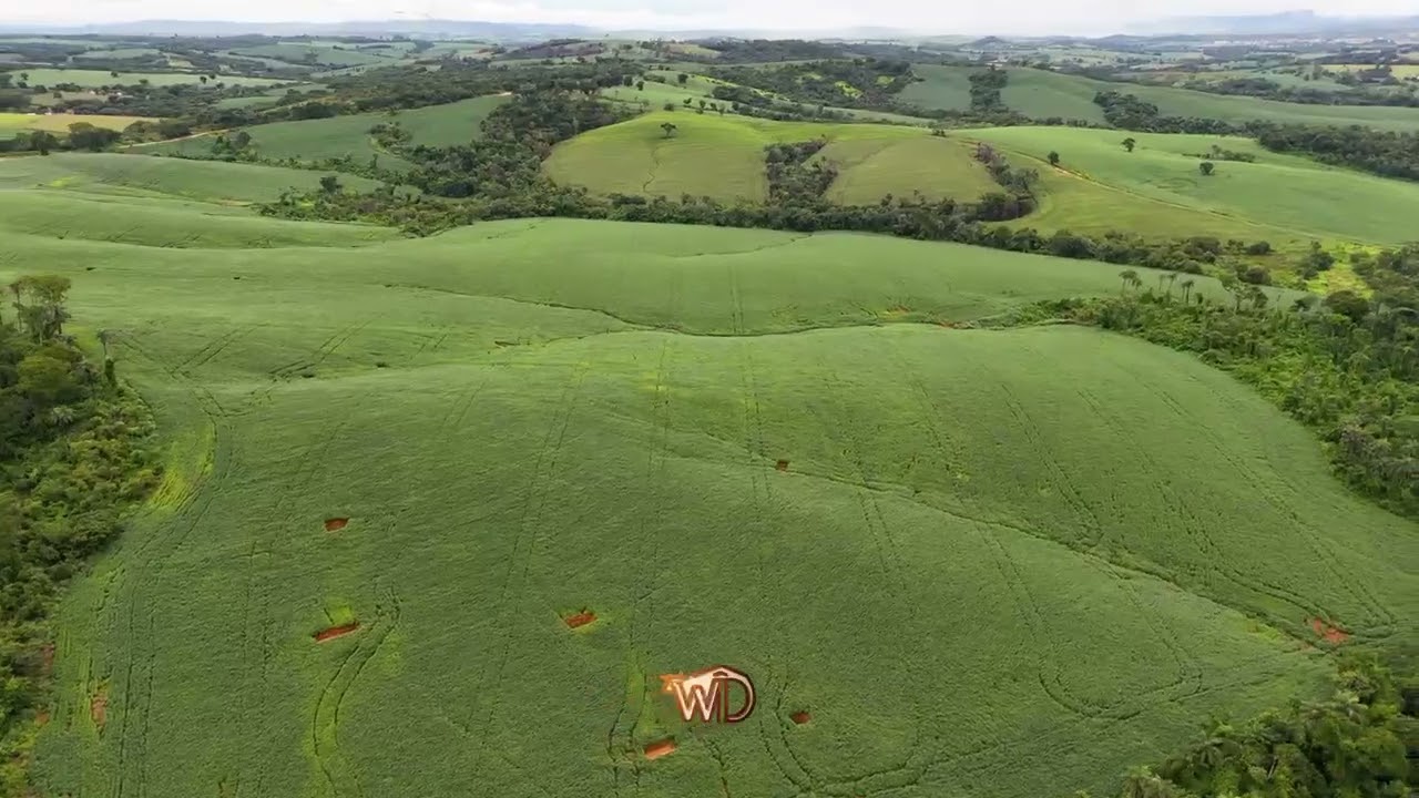 Excelente fazenda dupla aptidão na região de Alpinopolis-MG