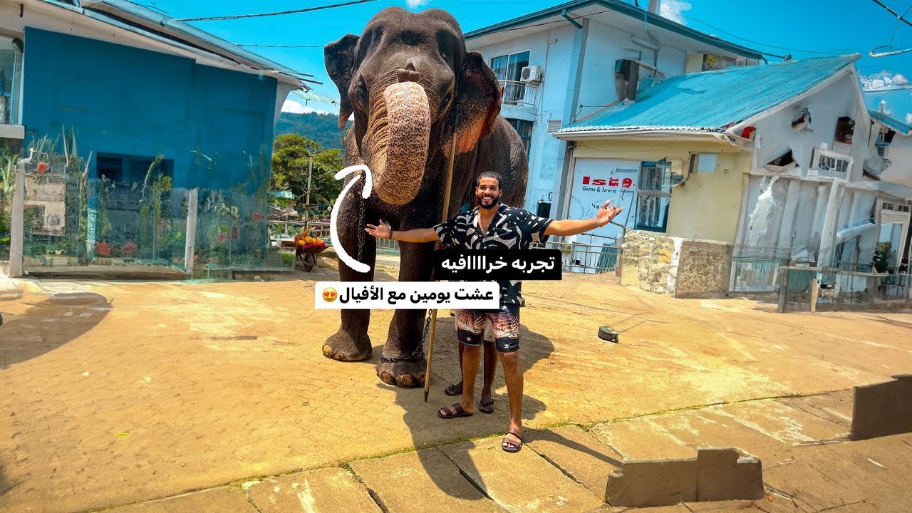 ⁣عشت يومين مع الأفيال في أجمل فندق في سريلانكا 🇱🇰