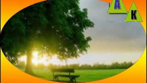 رونق الر بيعي  سورة يس