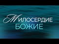 //Милосердие Божие\\ Василий Kрасавин