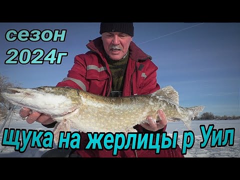 рыбалка на щуку. щука на ночной рыбалке. ловля щуки ночью зимой. клюет ли щука ночью зимой. зимняя рыбалка на щуку.