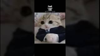 Axır Ki Video Paylaşmaqa Vaxt Tapdım