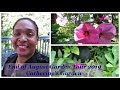 Urban Cottage Garden |  End of August Garden Tour 2019 ft. hibiscus flowers | Catherine's Garden