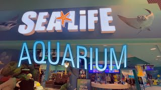 SEA LIFE Aquarium | Great Lakes Crossing Mall | Auburn Hills, MI