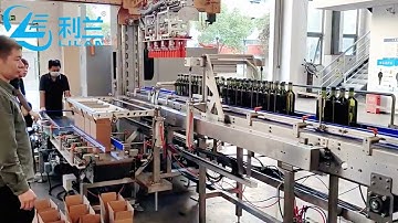 Servo coordinate case  packer for glass bottles with cardboard partition