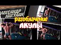 Александр Никулин РАЗОБЛАЧЕНИЕ