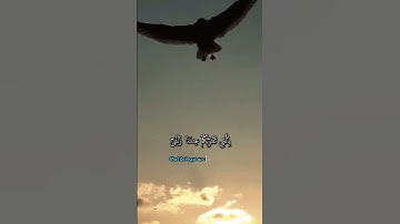 Surah Sabaʾ: 37 سورة سبأ الآية