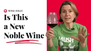 A New Noble Wine? (ep. 41) Wine Folly by Wine Folly 5,326 views 1 month ago 4 minutes, 39 seconds