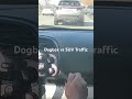 Dogbox vs Traffic | Straight-Cut Gears in a Sea of SUVs