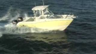 World Cat 250DC Aerial View