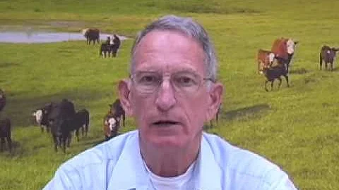 Low Stress Cattle Handling