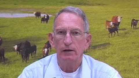 Low Stress Cattle Handling