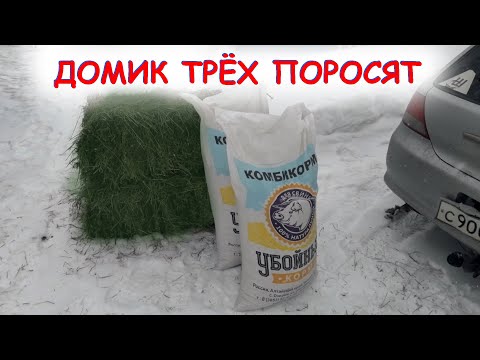 Обзор свинарника