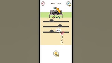 Thief puzzle level #209