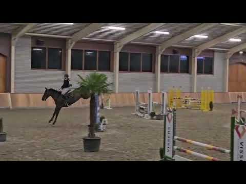 Orphelia van't Klavertje Vier Asten