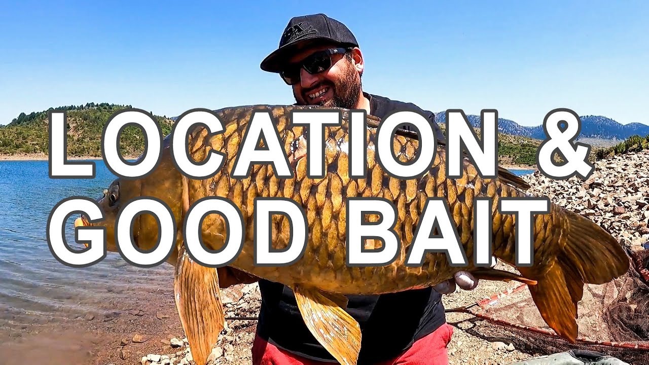 Αυτό είναι ψάρεμα ! Να βρέις το σημείο και να έχεις το κατάλληλο δόλωμα!!