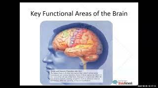 Anterior Circulation Strokes