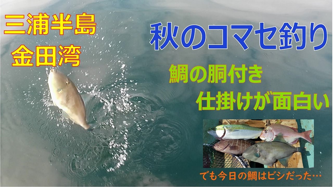 33 小網代ボート釣り 北風で多くの場所でボートが出せないとき 出船できた場所でボート釣りした結果 Youtube