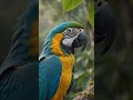 Yellow macaw parrot 🦜 | AI