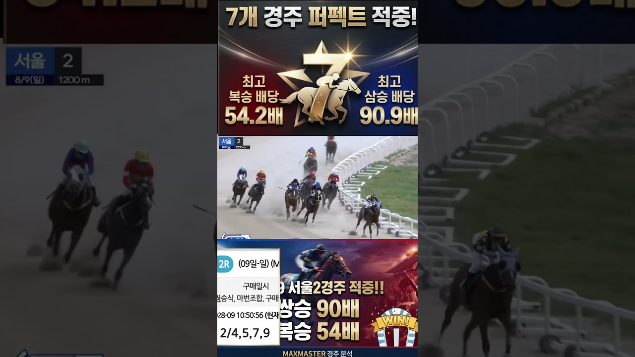 미쳤다!! 8월9일 서울 2경주 90배 압도적 원틀 폭팔!!#경마#경마예상#경마분석#검빛김영#제테크#주식#중년#서울경마#부산경마#경마팬#경마정보#경마적중#8월9일일요경마