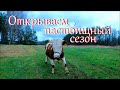 Закончила снимать краску с печки. Вывели животных на пастбище