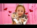 Nastya and the daily routine of the house with kittens