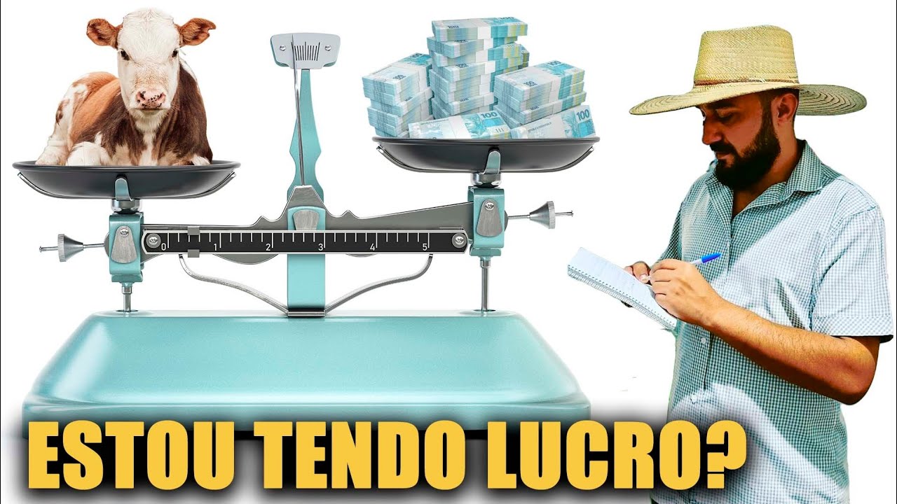 GMD - Como Calcular na Pratica