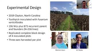 Will Stafstrom: Exploring the genetic basis of Fusarium ear rot resistance & yield component traits