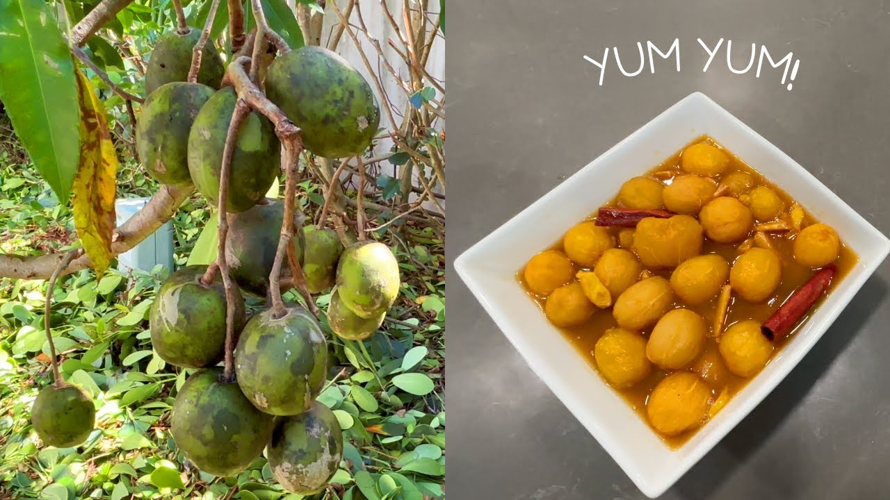 Making Stew June Plum